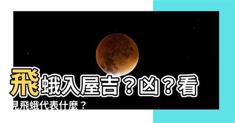 飛蛾 寓意|飛蛾代表幾號？解碼獲獎秘密